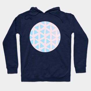 Pastel Hoodie